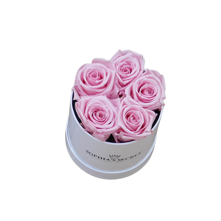5 & 6er Rosenboxen | Sophia's Secret