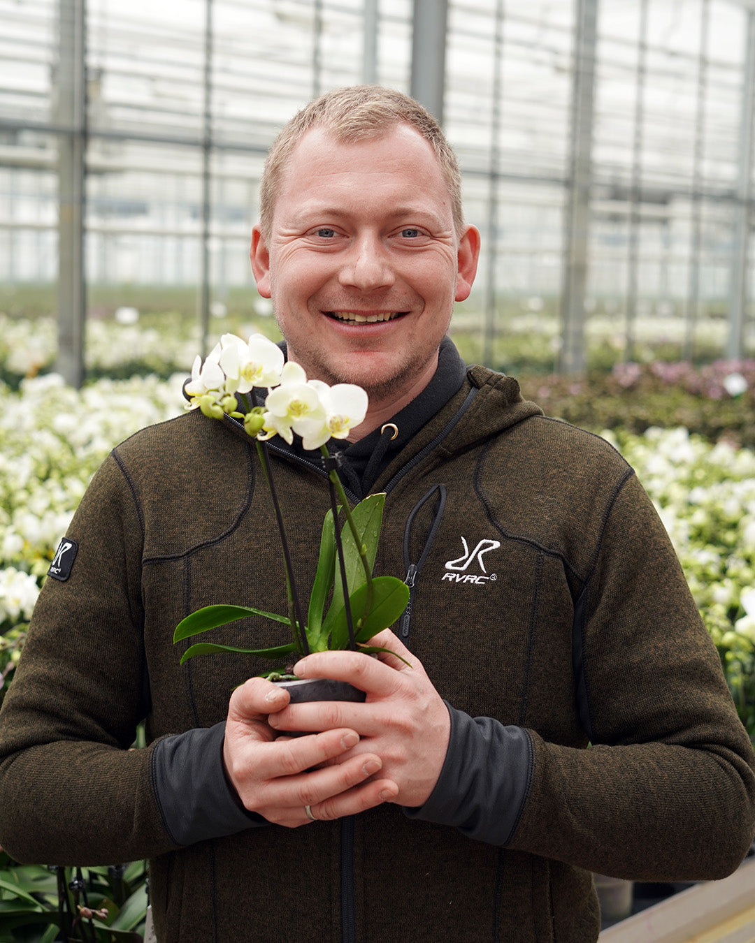 2er Orchideen Paket zu Muttertag | Optional mit Übertopf